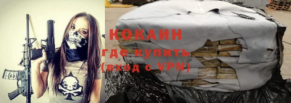 крисы Карпинск