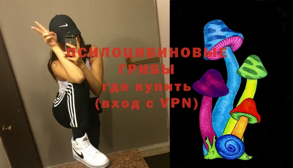 2c-b Касимов