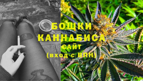 крисы Карпинск