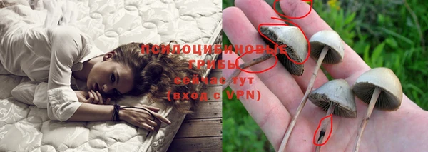 крисы Карпинск