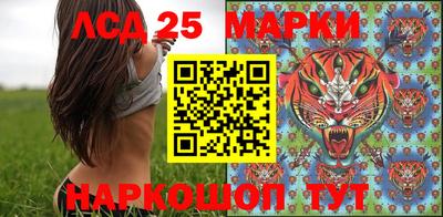 скорость Жуковский
