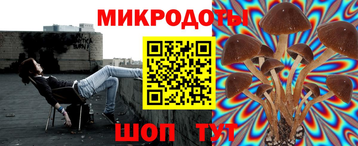 Нижний Новгород  Галлюциногенные грибы прущие грибы  наркошоп  Псилоцибиновые грибы Psilocybine cubensis  Вход с VPN 