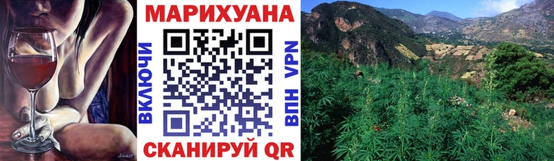 Каннабис OG Kush Нижний Новгород